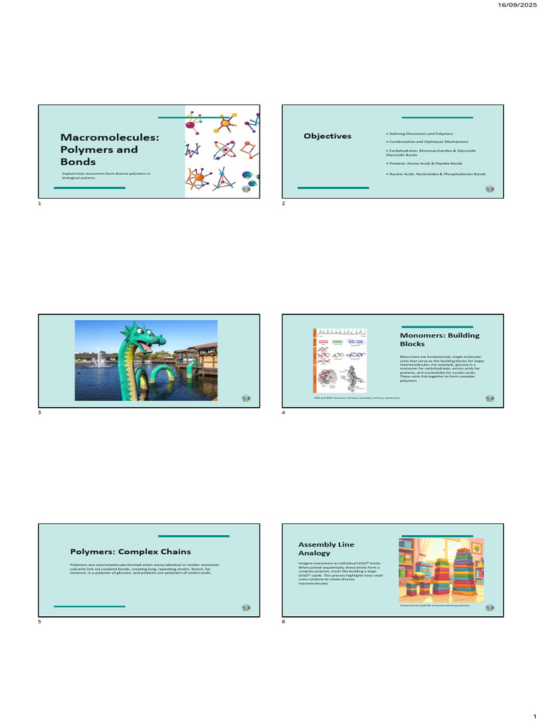 Macromolecules Polymers and Bonds | PDF | Macromolecules | Carbohydrates