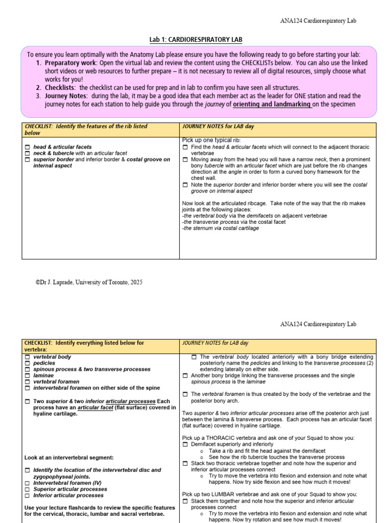 LAB+1+ +Cardiorespiratory+Lab+2025 | PDF | Vertebra | Heart Valve