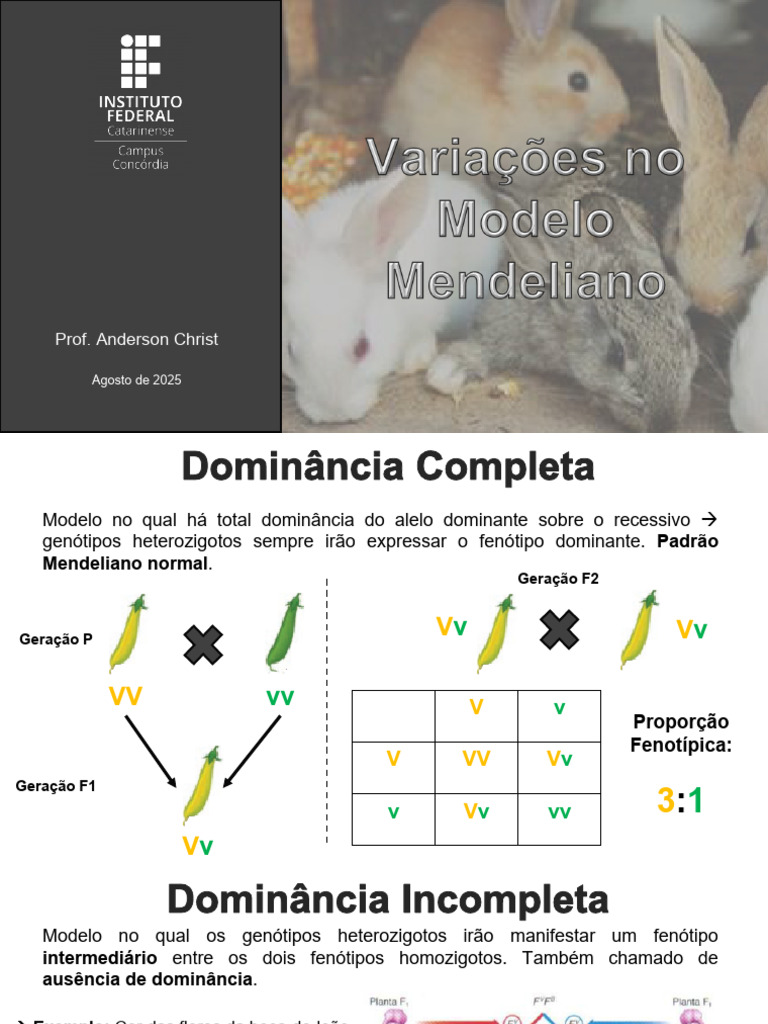 Modelos de Herança Genética e Fenótipos | PDF | Alelo | Tipo sanguíneo