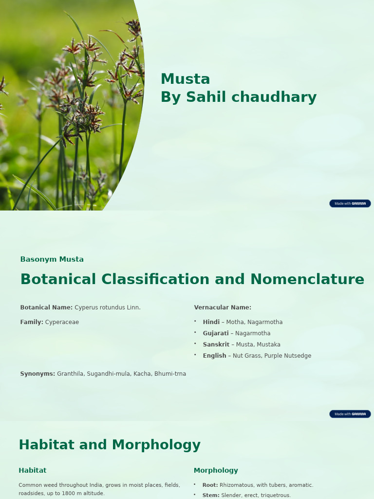 Musta Plant: Uses and Benefits | PDF | Plants | Botany