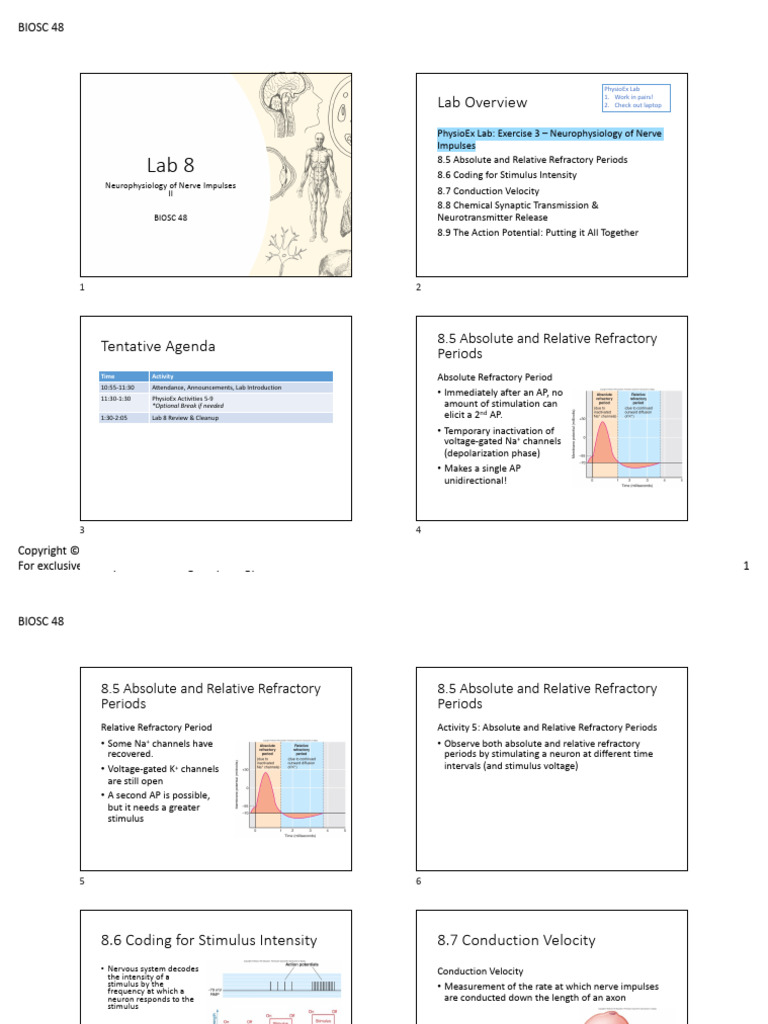Lab+8 Neurophysiology+of+Nerve+Impulses+II | PDF | Action Potential ...