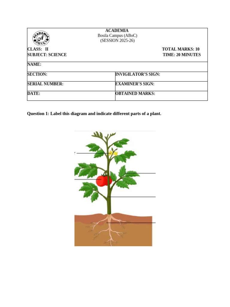 Class 2 Science Worksheet 2 | PDF