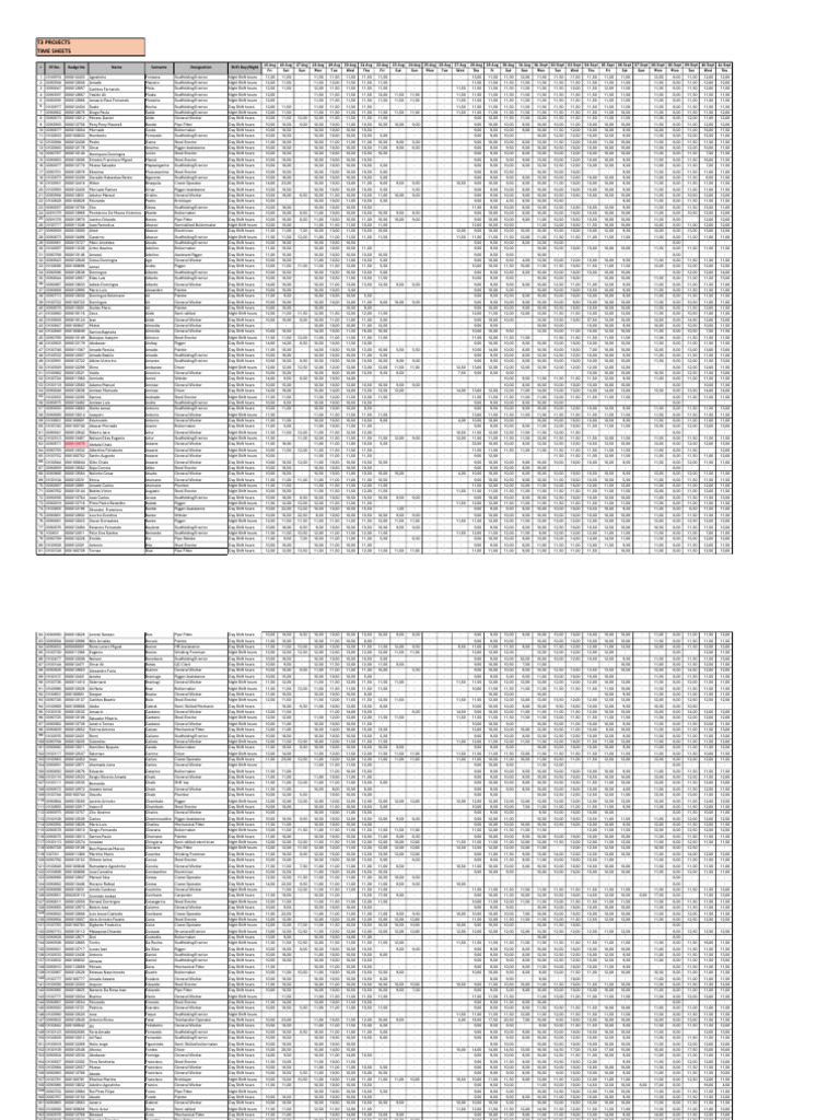 T3 Projects Time Sheets Overview | PDF