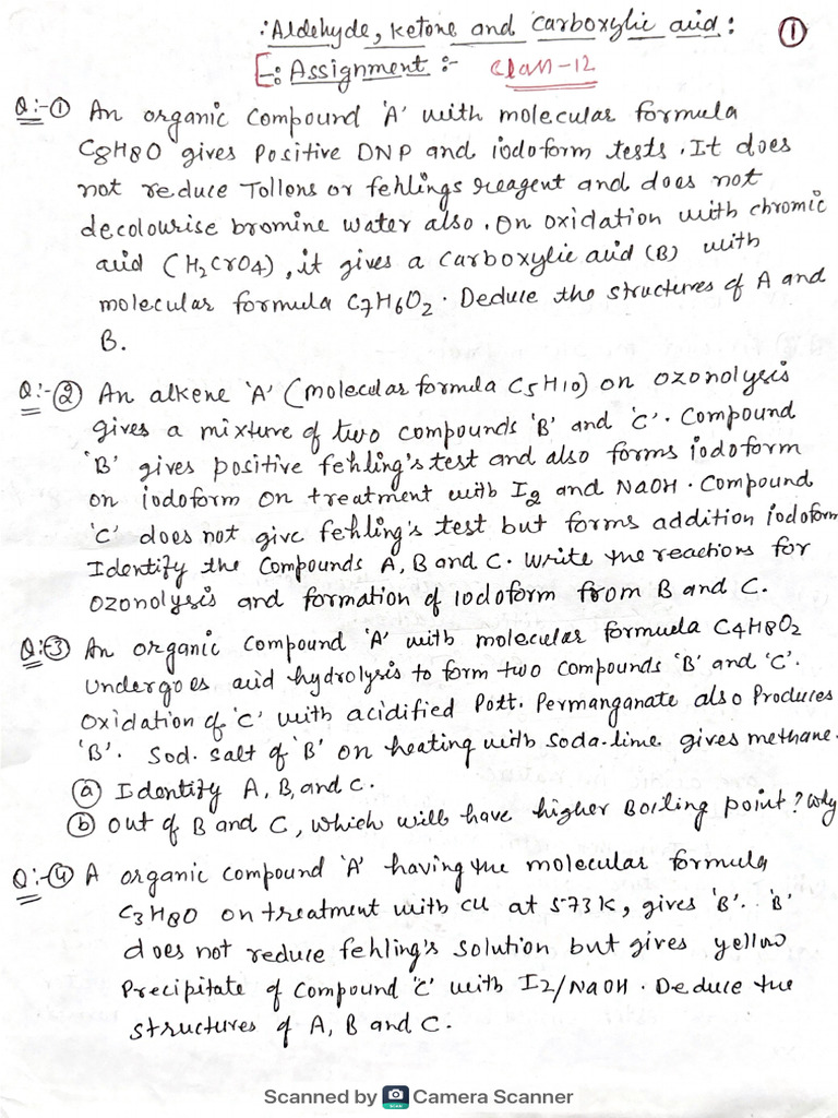 Camera Scanner Scanning Process | PDF