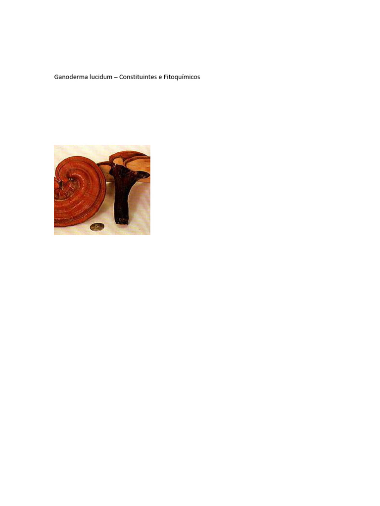 Ganoderma Lucidum Constituents and Phytochemicals | PDF | Amino Acid ...