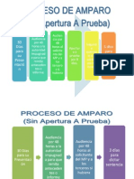 ESQUEMA Proceso de Amparo