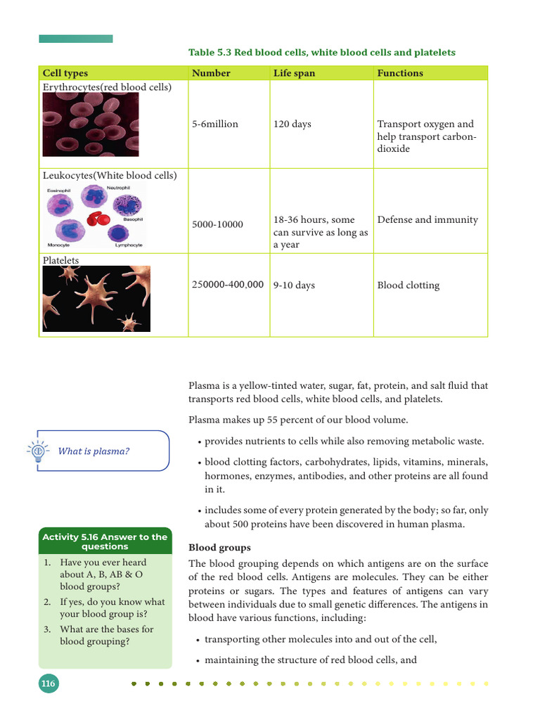 Blood | PDF