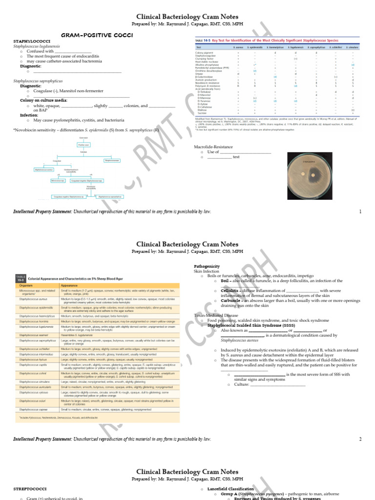 Week 8 - Streptococcus and Enterococcus - Cram Notes | PDF ...