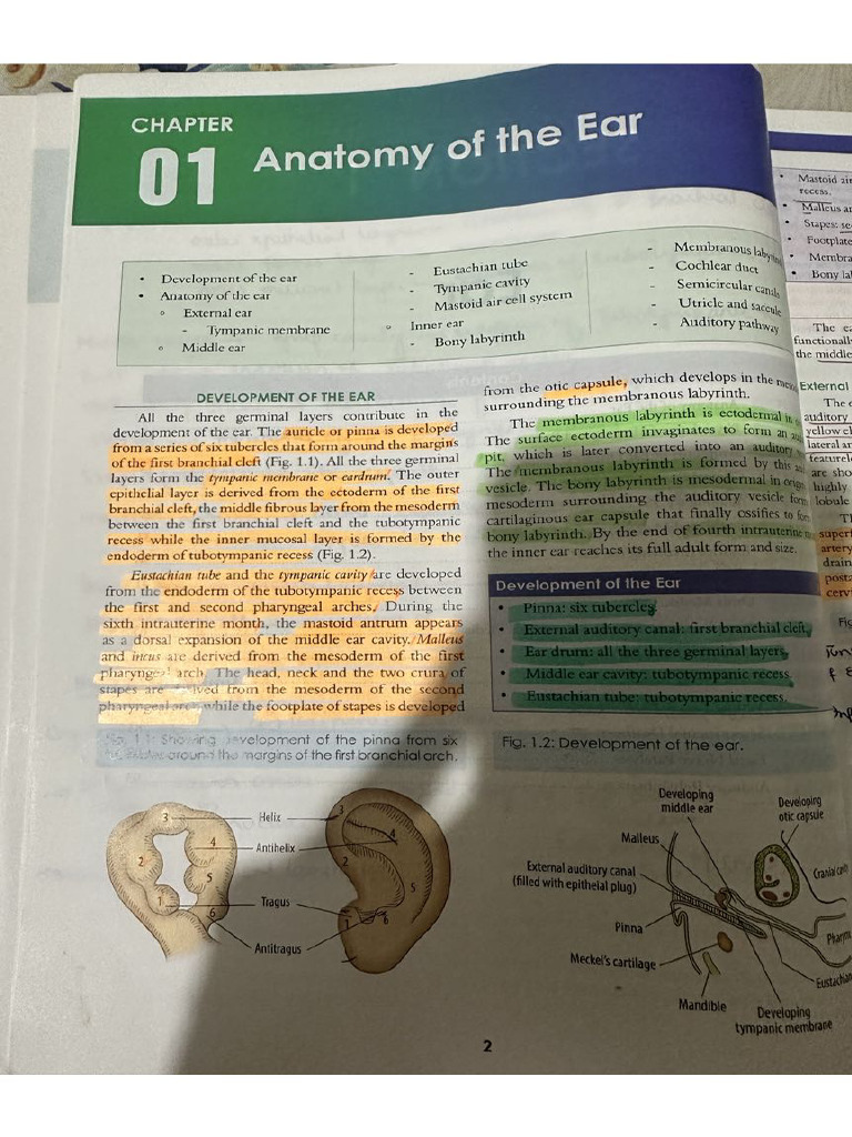 Ear ? | PDF
