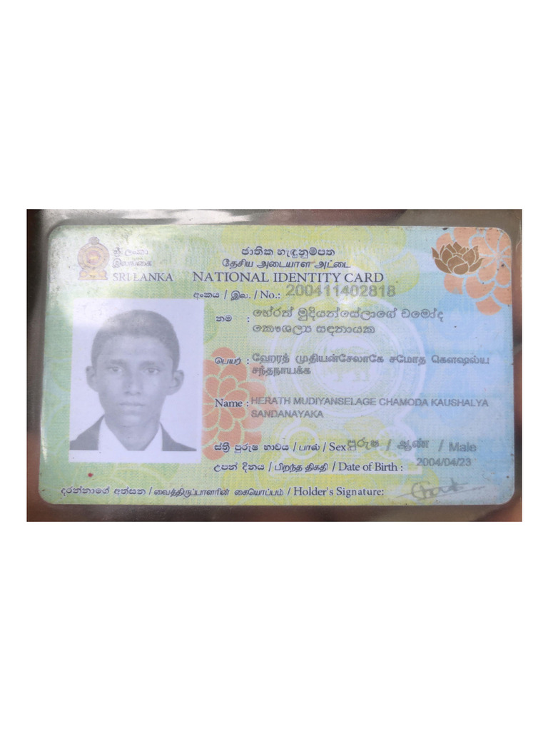 C Id | PDF