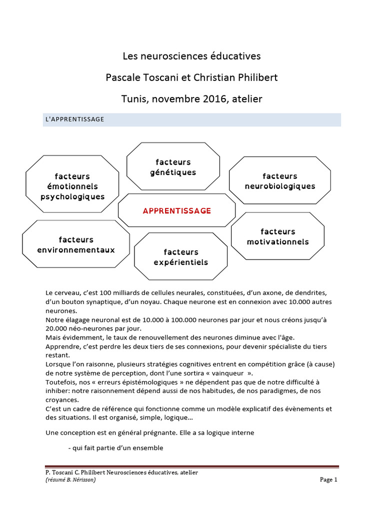 Neurosciences et apprentissage : clés essentielles | PDF | Attention ...