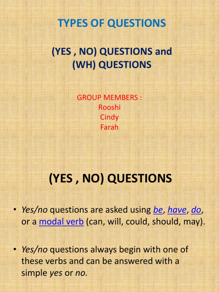 Yes/No and WH Questions Explained | PDF