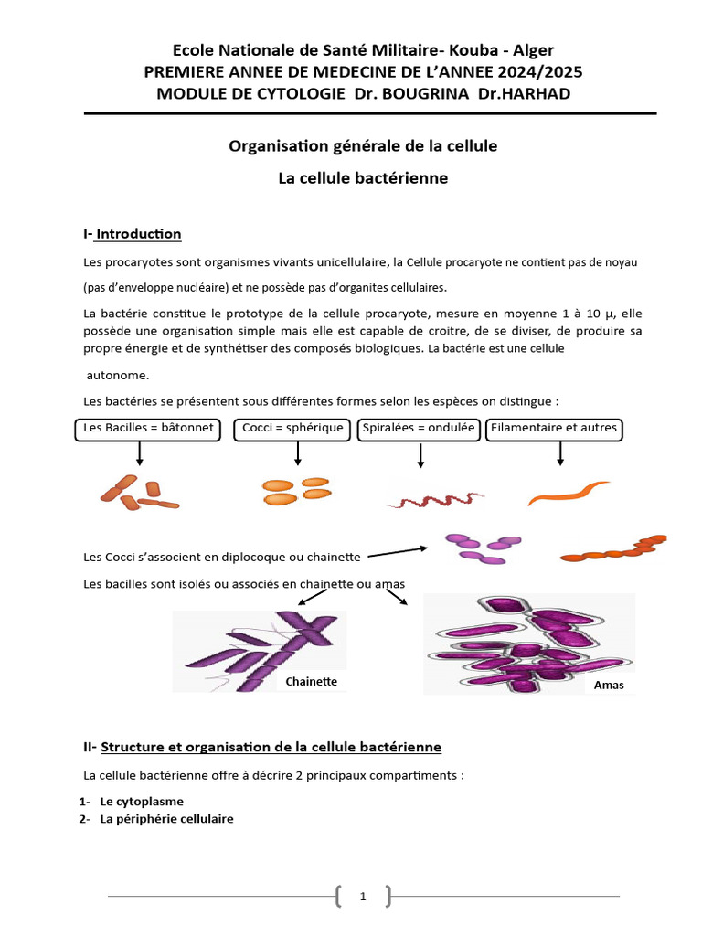 Structure et Fonction des Cellules Bactériennes | PDF | Cellule ...