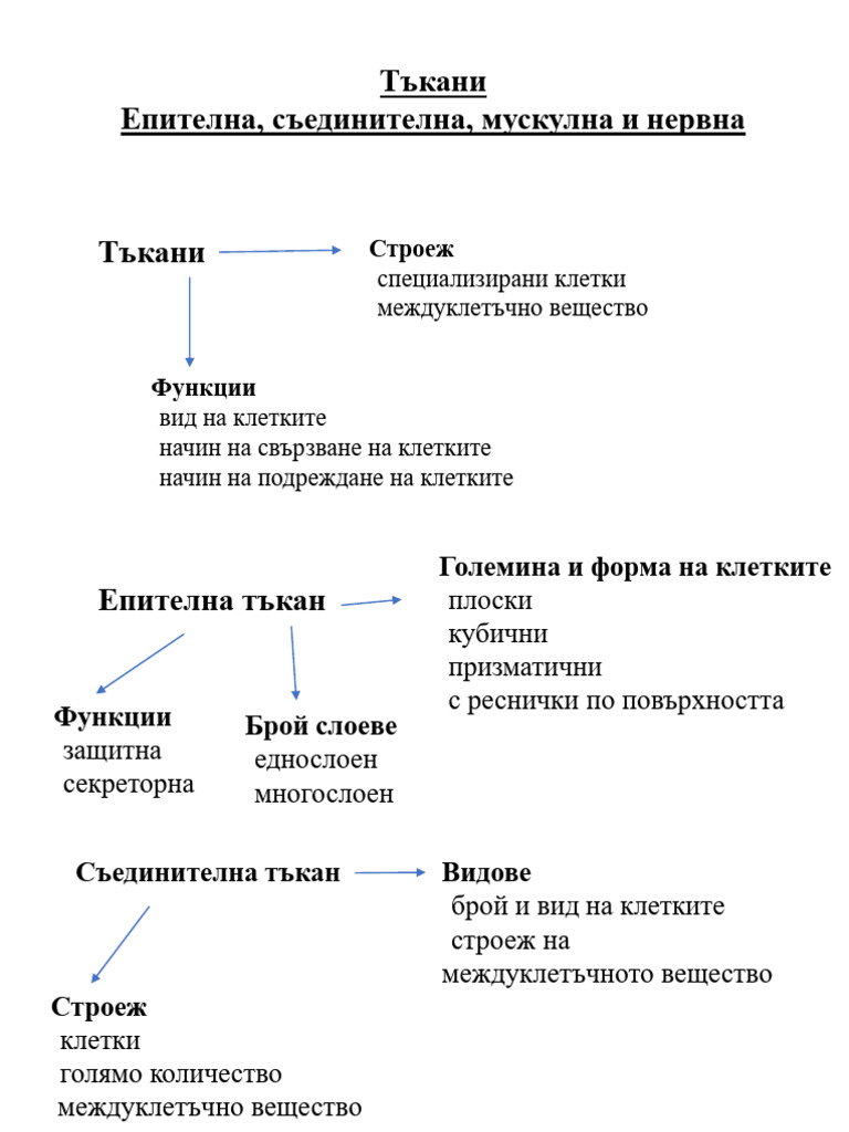 Tukani | PDF