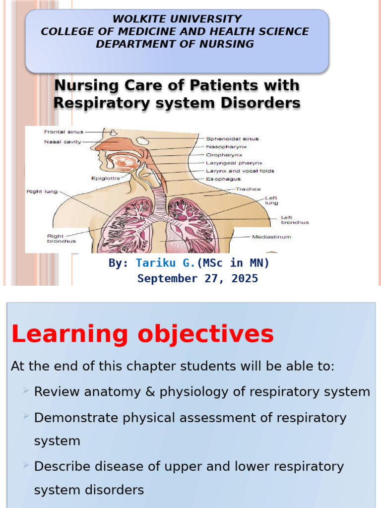 Nursing Care for Respiratory Disorders | PDF | Respiratory System ...