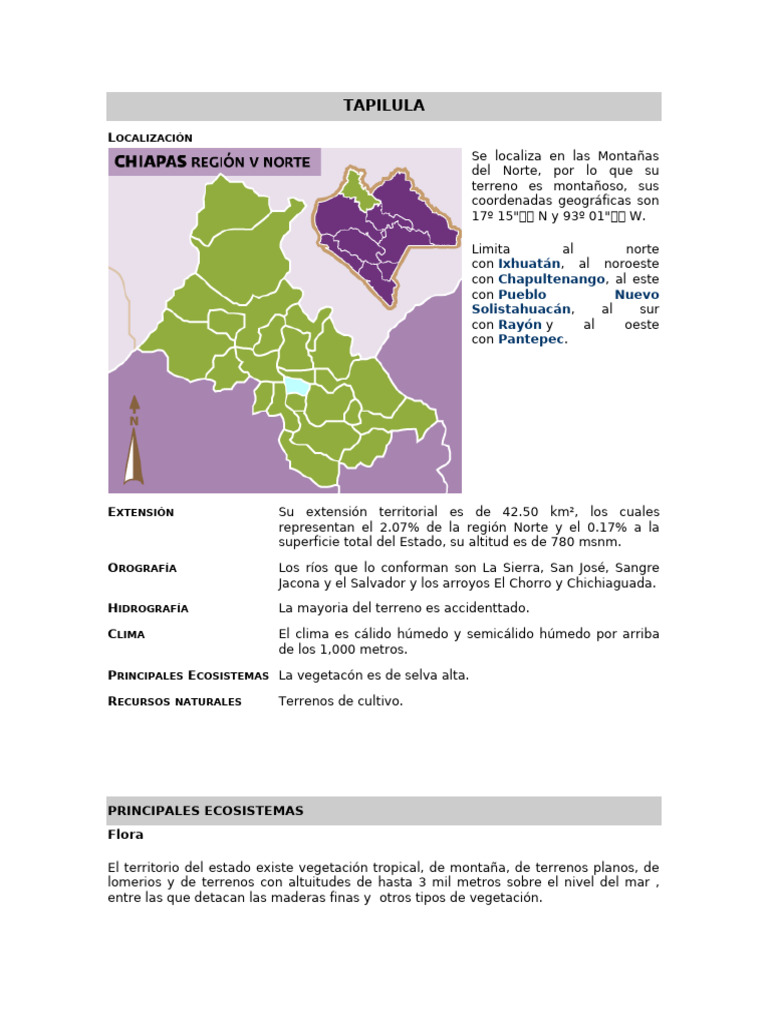 Características de Tapilula, Chiapas | PDF