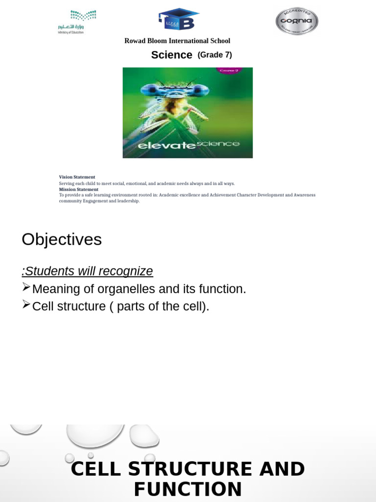 Cell Structure and Function Overview | PDF
