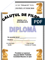 Diploma Calut 2010
