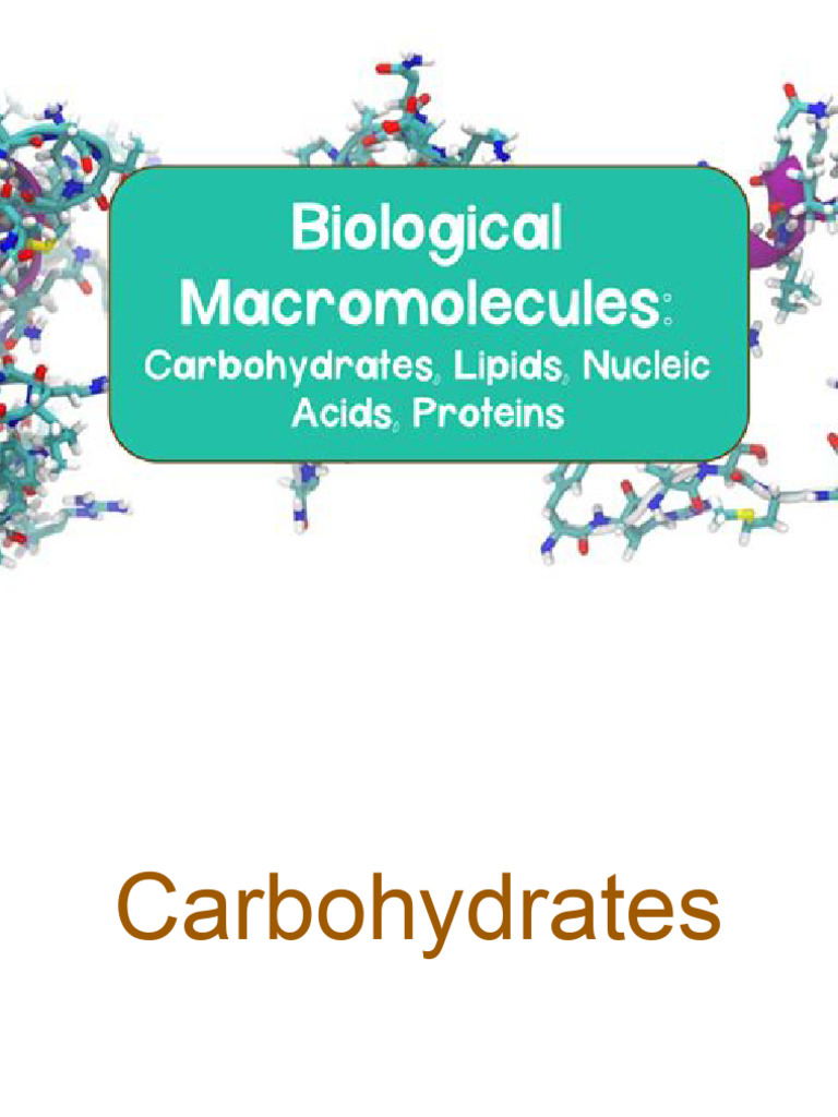 Overview of Carbohydrates and Lipids | PDF | Carbohydrates | Nucleotides