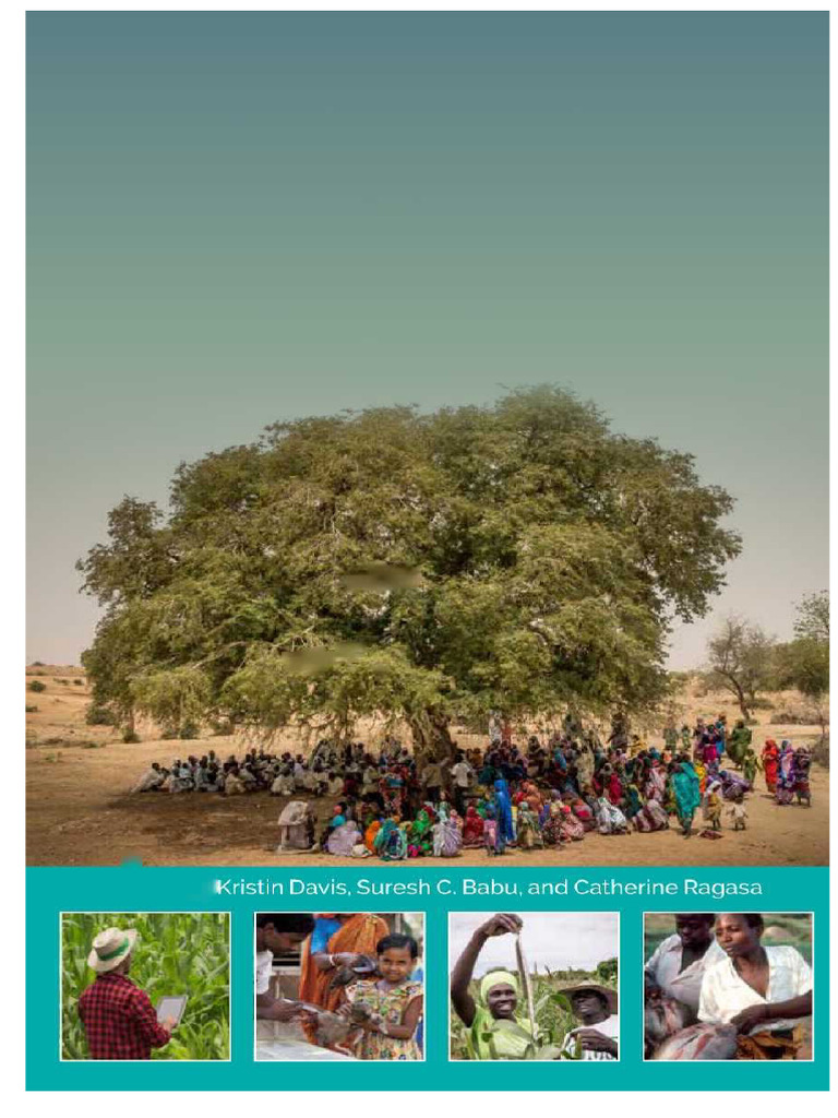 Agricultural Extension Global Status and Performance | PDF | Governance ...