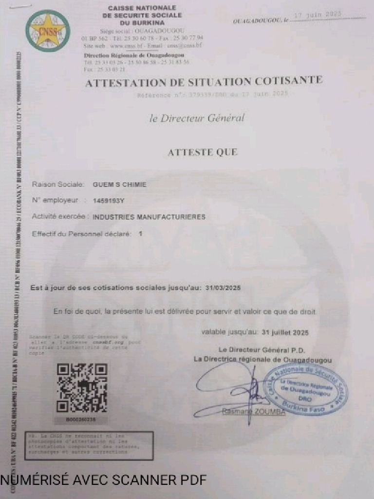 CNSS | PDF