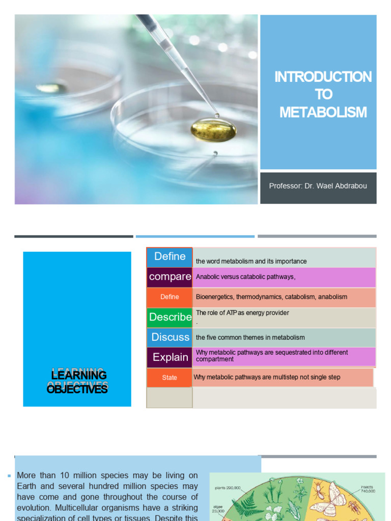 Introduction To Metabolism | PDF | Metabolism | Metabolic Pathway