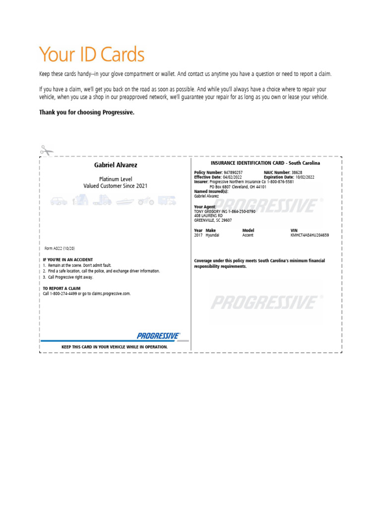 South Carolina Insurance ID Card Guide | PDF | Insurance