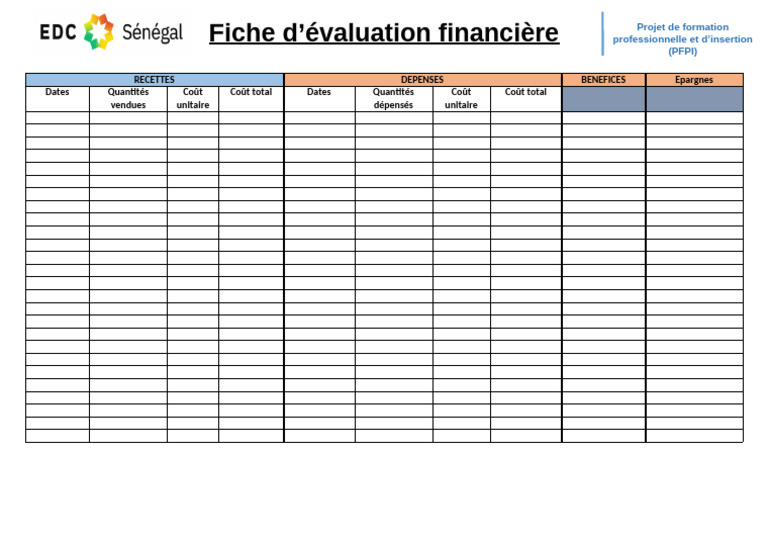 Évaluation financière du PFPI | PDF