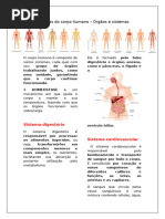 Anatomia dos Sistemas Orgânicos Humanos | PDF | Corpo humano | Sistema ...