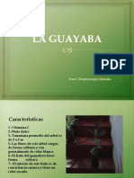 La Guayaba Ecologia