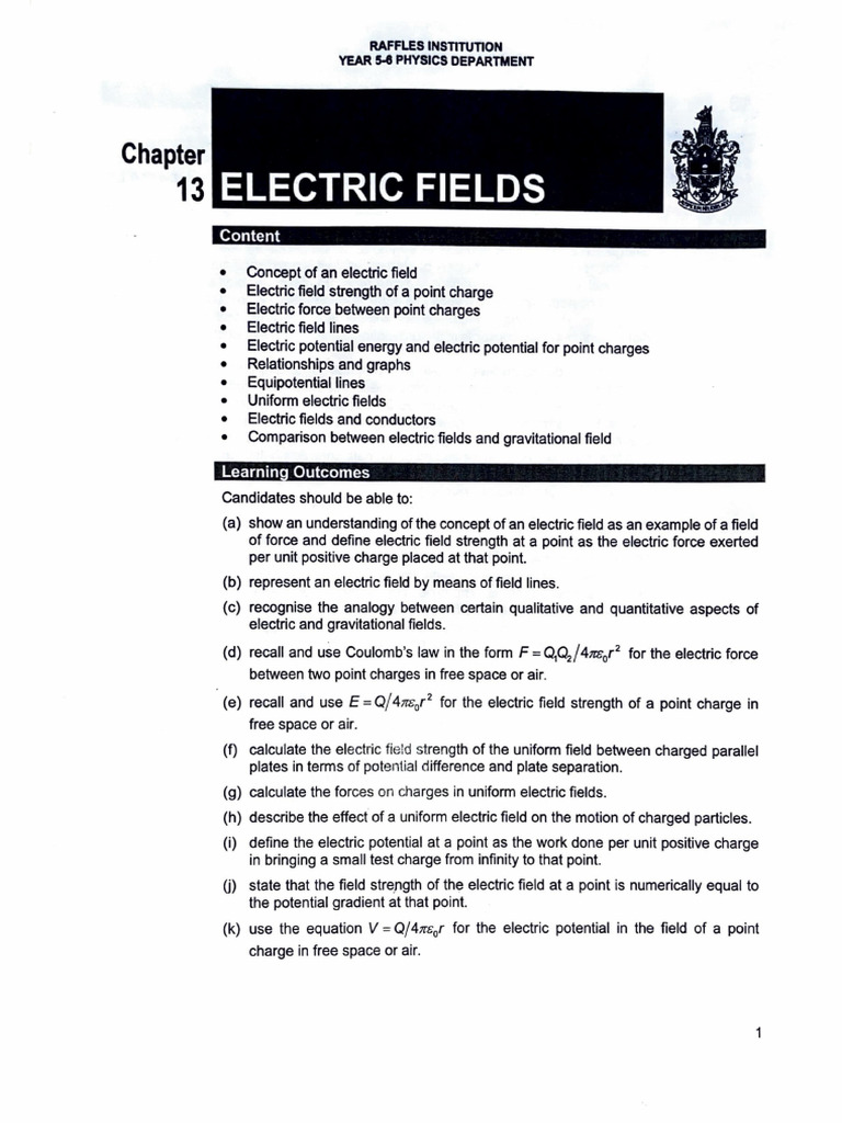 RI 2023 Electric Fields | PDF