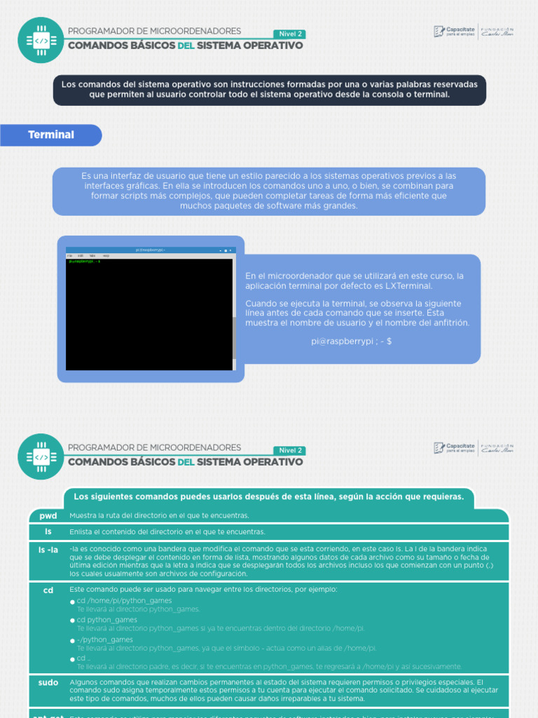 Comandos Básicos del Sistema Operativo | PDF | Archivo de computadora ...