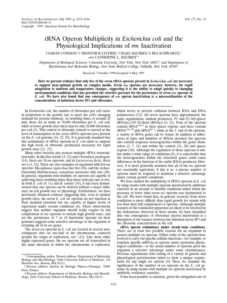 rRNA Operon Impact on E. coli Growth | PDF | Ribosomal Rna | Operon