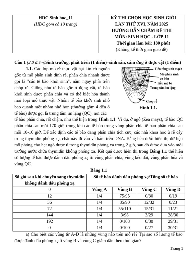 Si1 - 09 - HDC | PDF