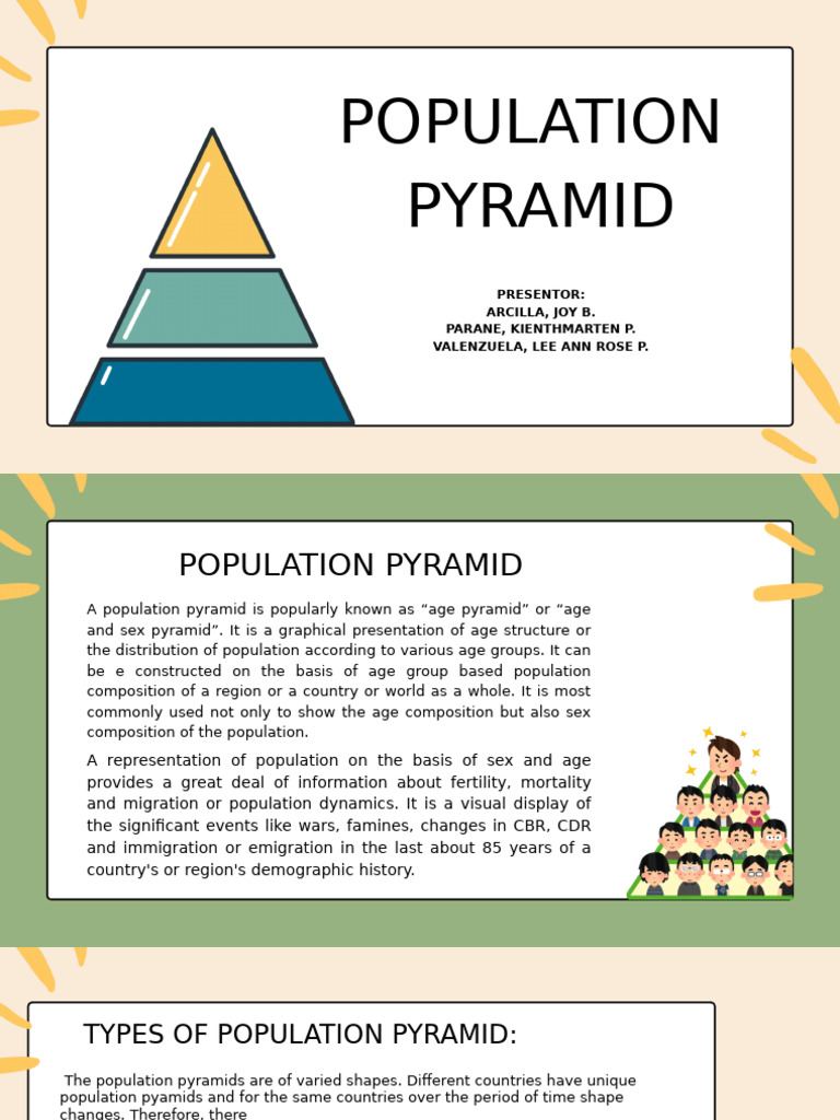 Understanding Population Pyramids | PDF | Literacy | Demography