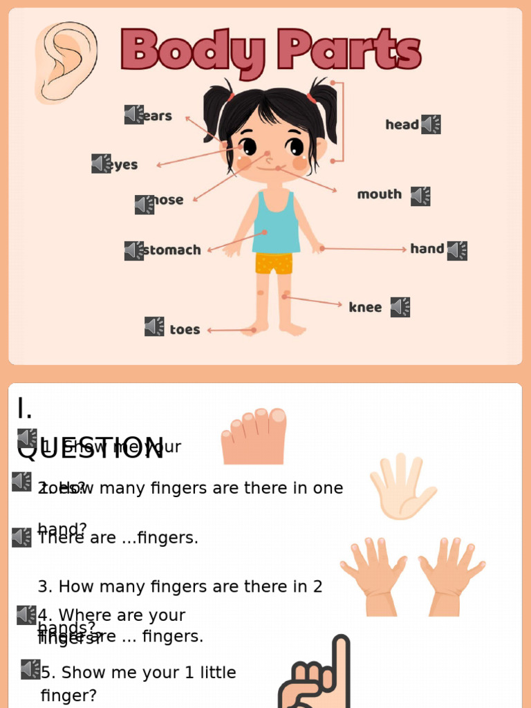 Body Parts Identification Activities | PDF | Chess Theory | Chess