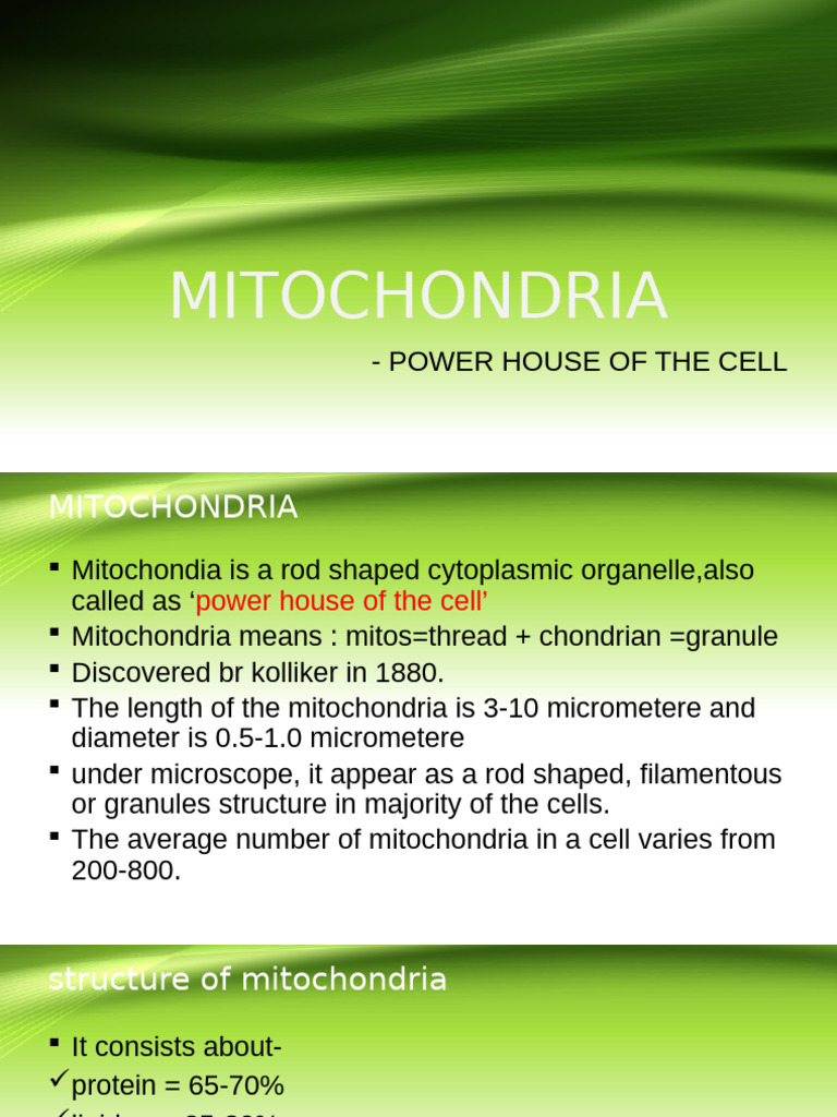 Mitochondria: Structure and Function | PDF | Mitochondrion | Cell Membrane