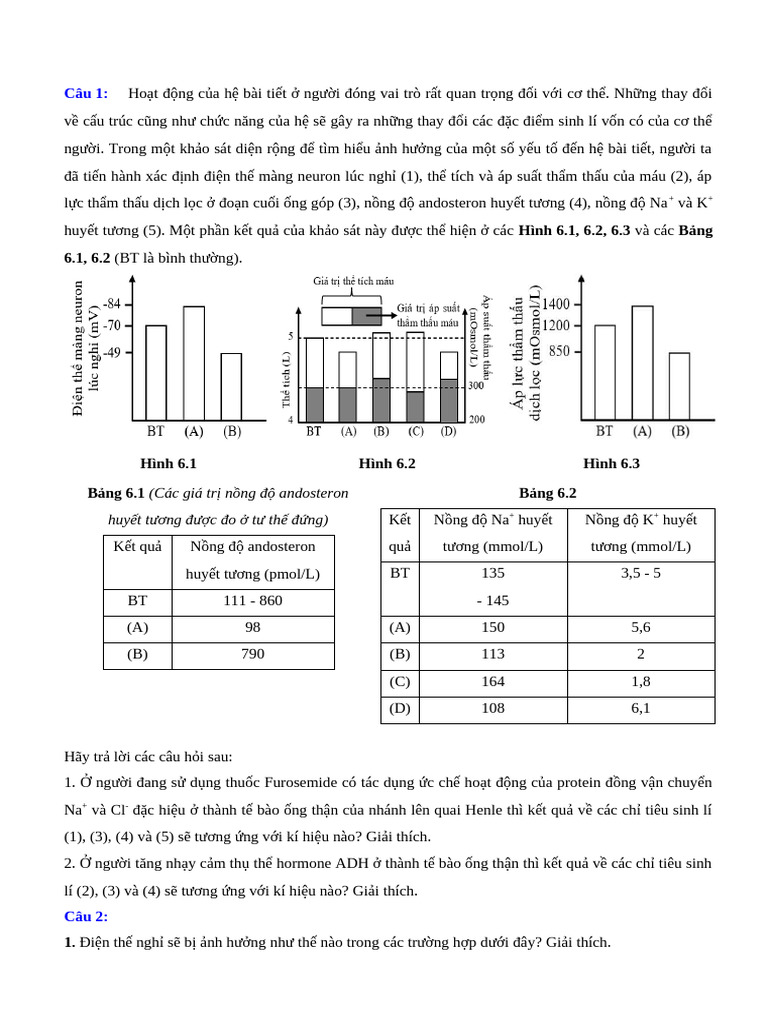 SLDV K Ans | PDF