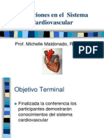 Clase 10 Sistema Cardiovascular