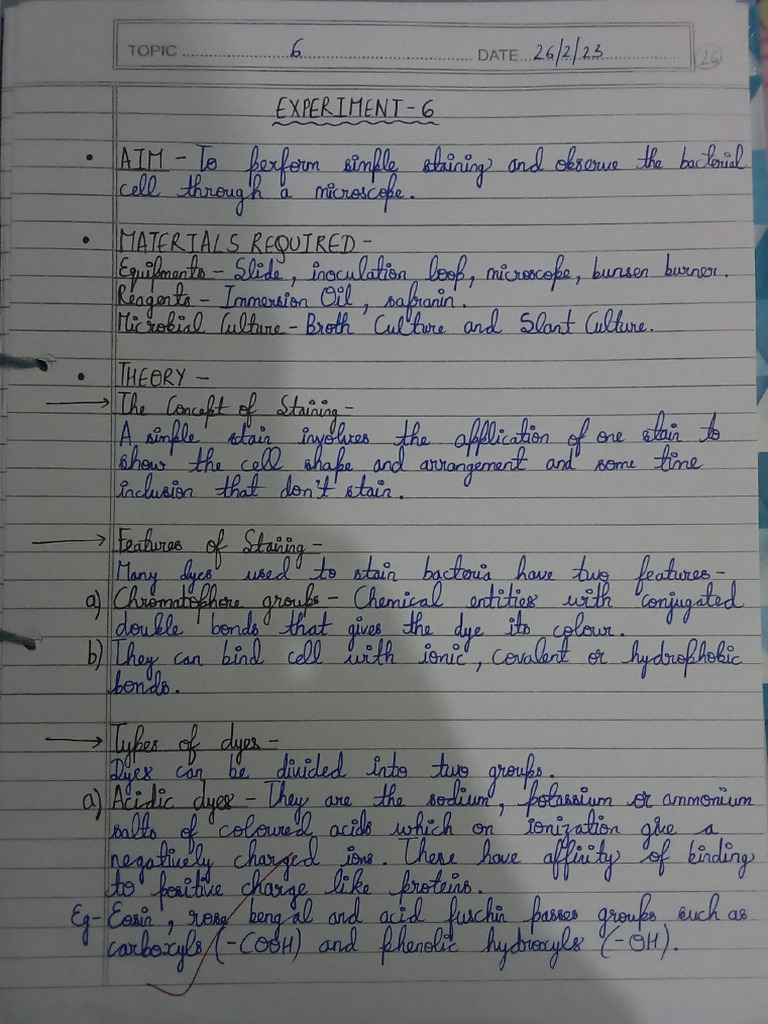 Simple Staining Ex 6 Pdf