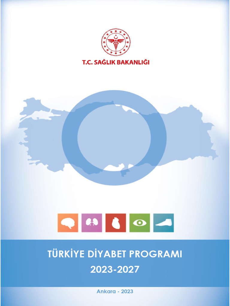 Turkiye Diyabet Programi 2023 2027 | PDF