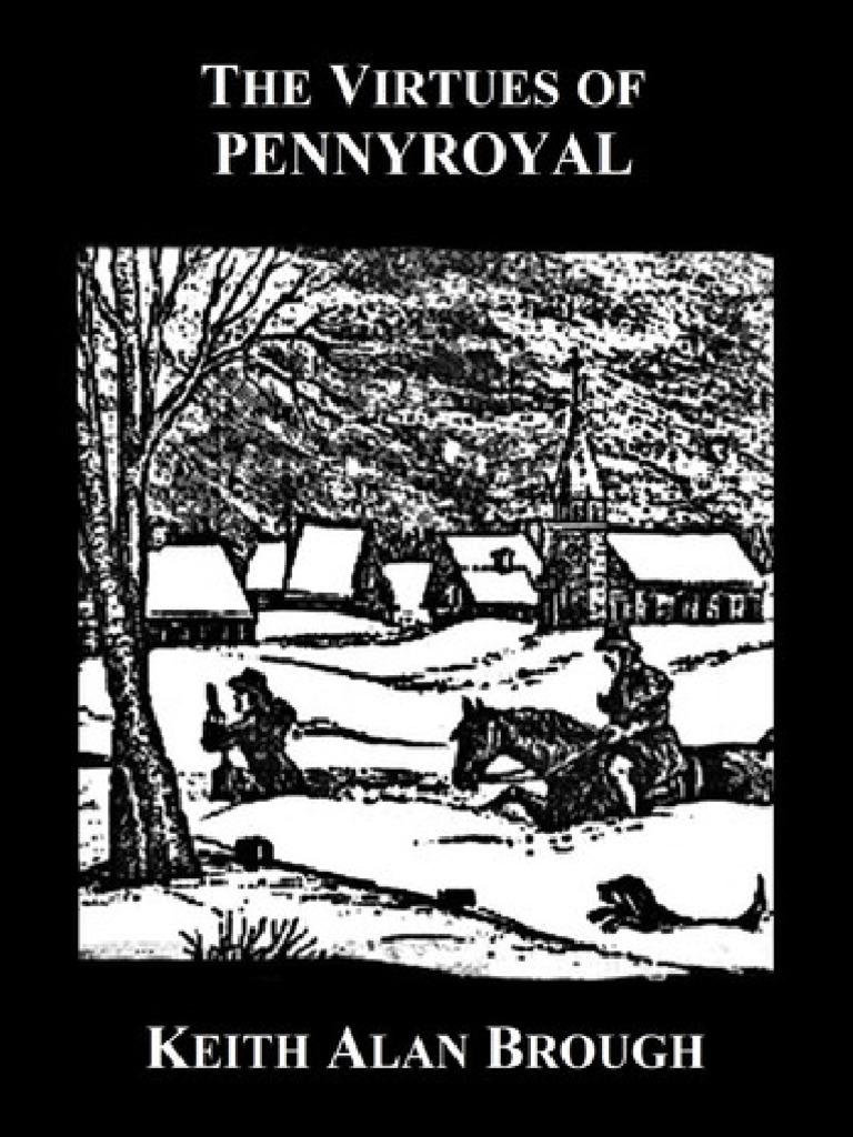 The Virtues of Pennyroyal | PDF | Ku Klux Klan | Banks
