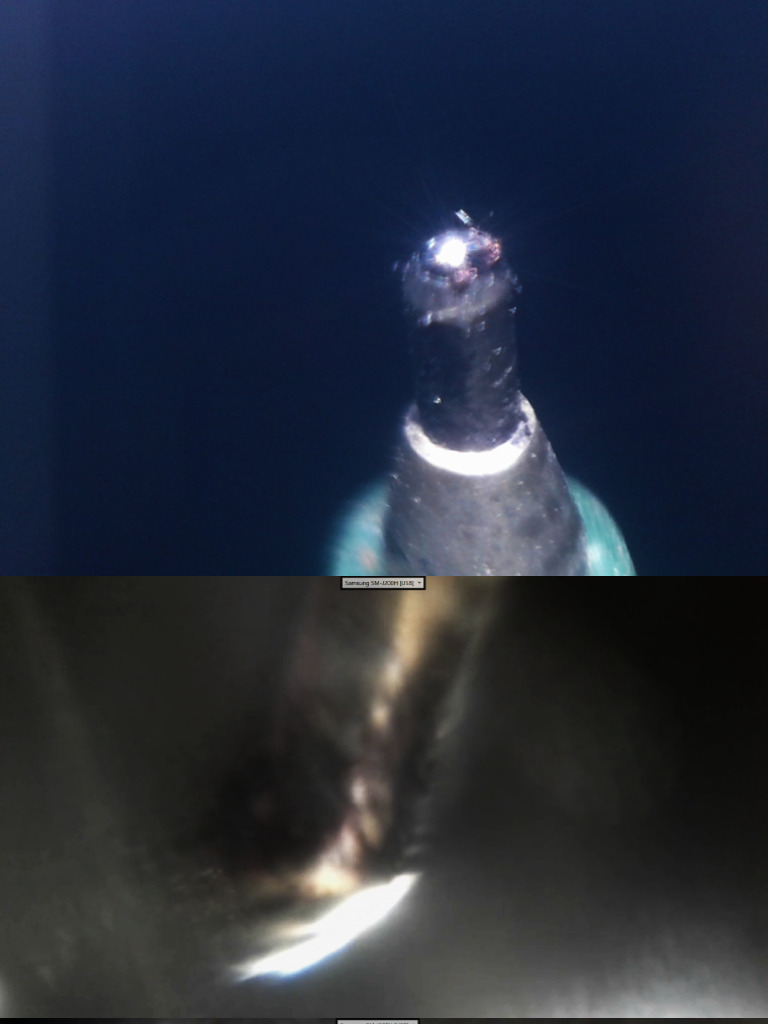 Water Drop Microscopy of Onion Cells and Ballpoint Pen | PDF