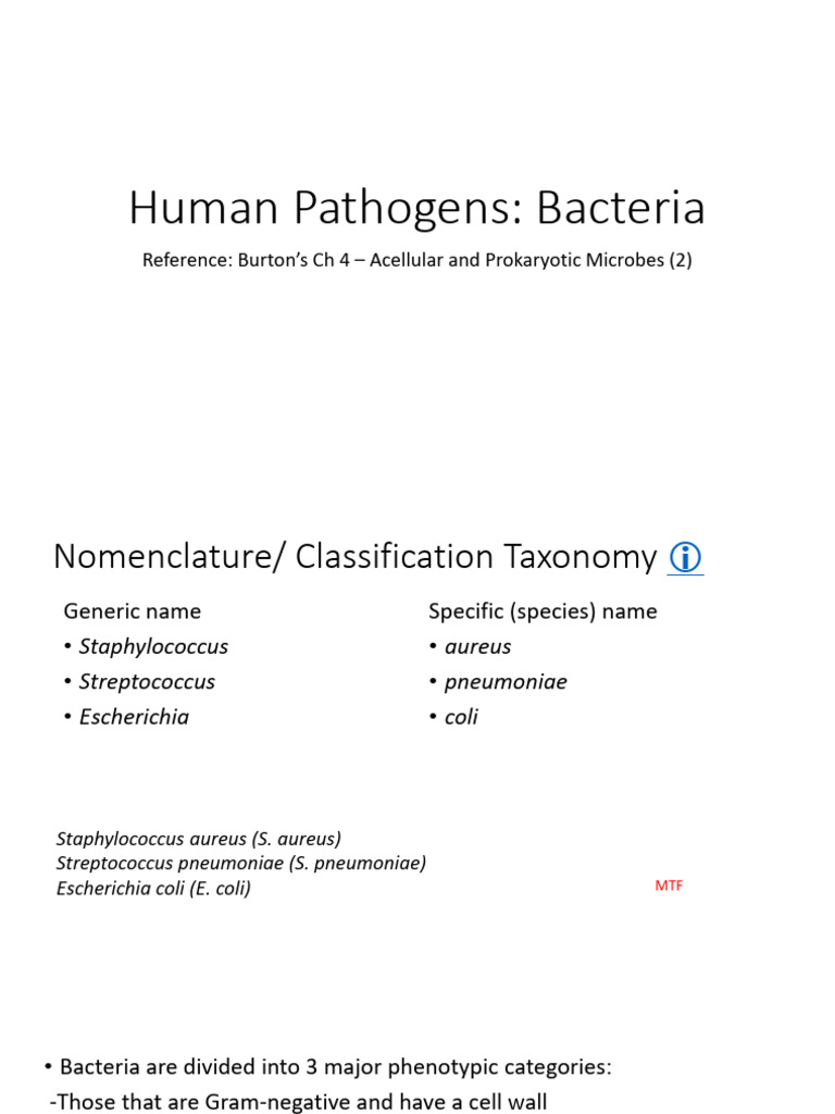 Human Pathogens: Bacterial Classification | PDF | Gram Positive ...