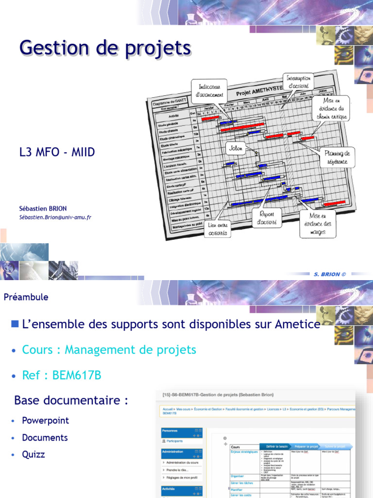 Gestion des Risques en Projet | PDF | Risque | Gestion de projet
