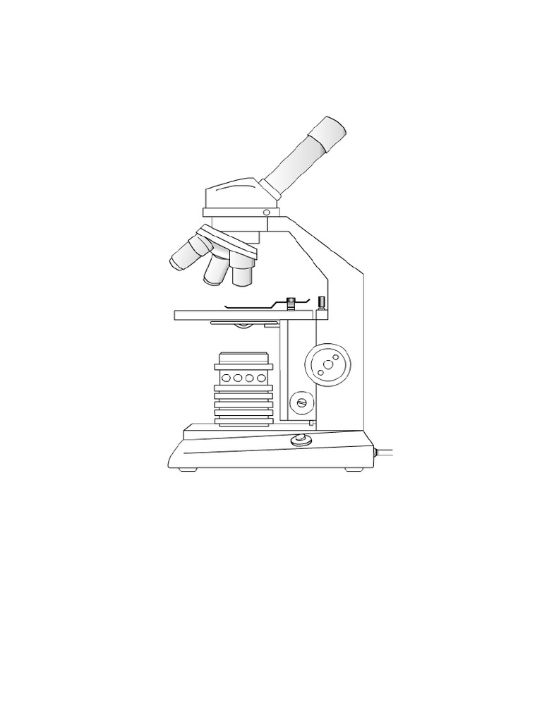 Microscope | PDF