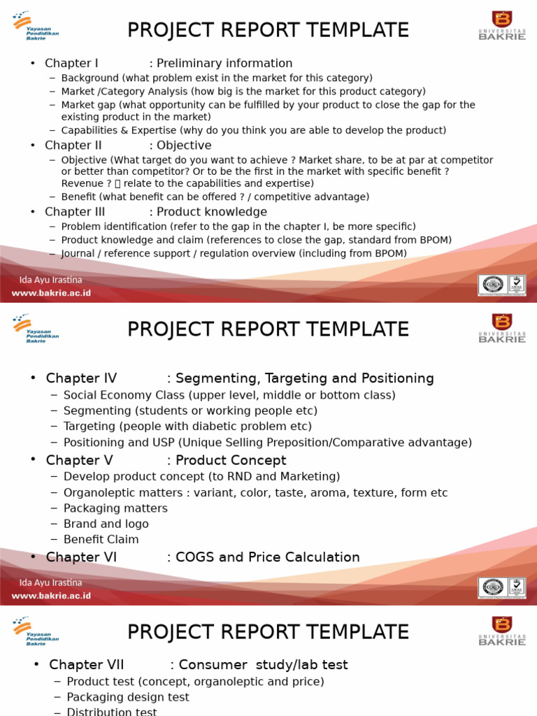 Comprehensive Product Development Report | PDF | Marketing | Business ...