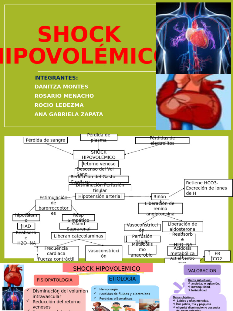 Diapositivas de Shock Hipovolémico | PDF | Sangre | Sistema circulatorio