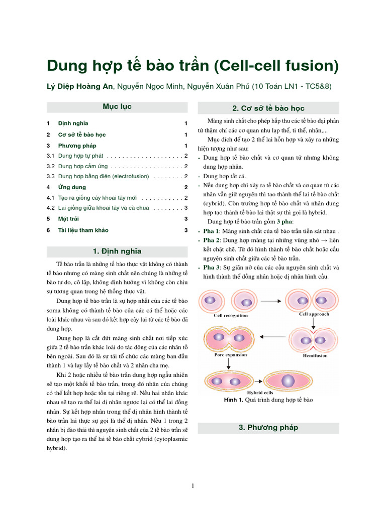 Cell Fusion | PDF