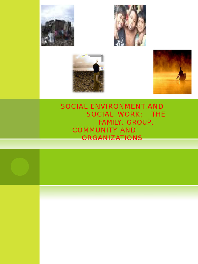 Social Environment in Social Work | PDF | Family | Feminism